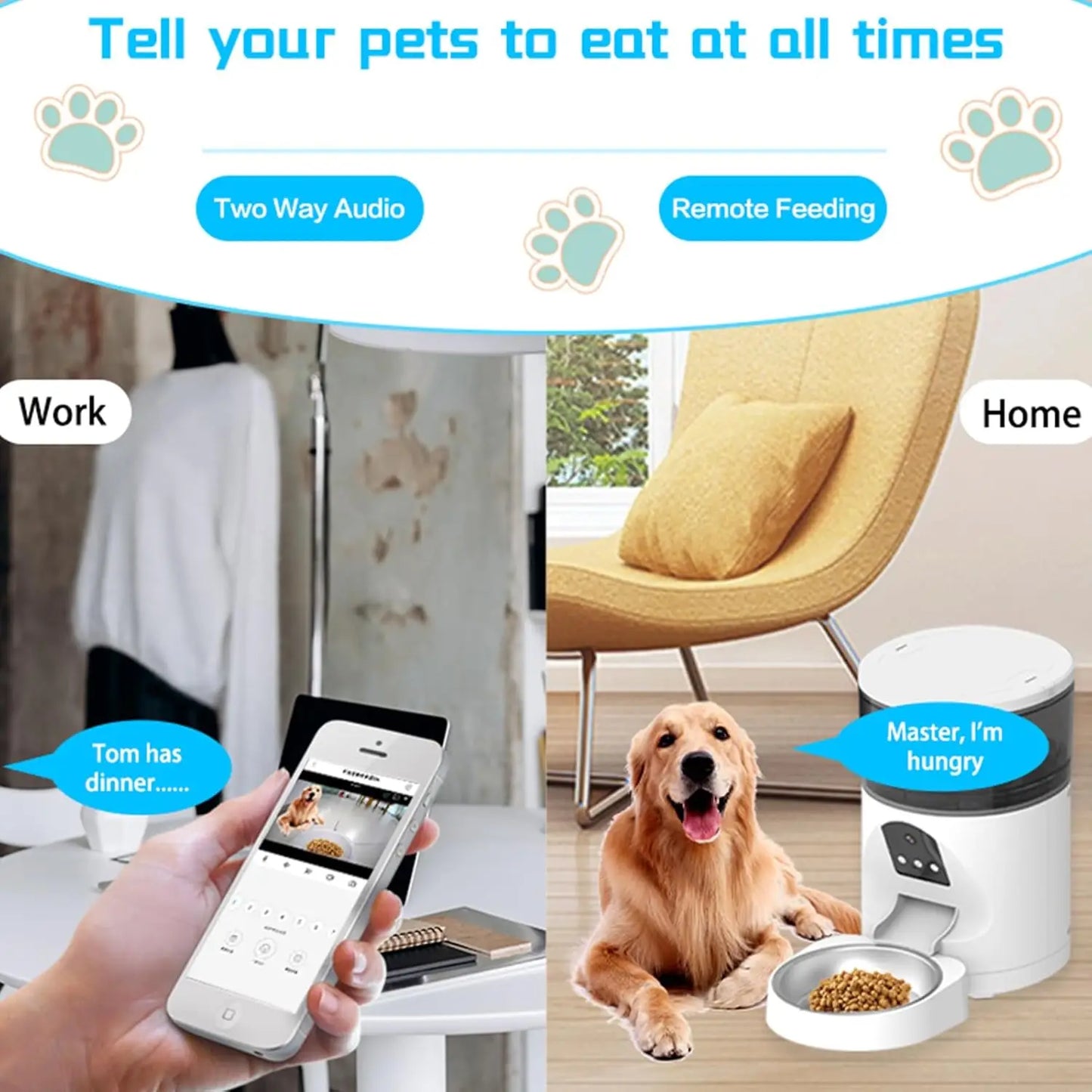 4L 6L Smart Automatic Pet Feeder Voice Calling APP Control Charge Soli